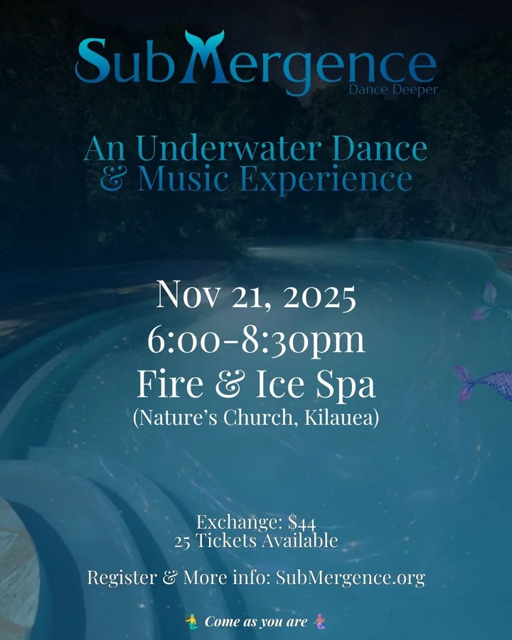 SubMergence at Fire & Ice Spa flyer showing a dark tropical pool washed in deep blue with small points of light