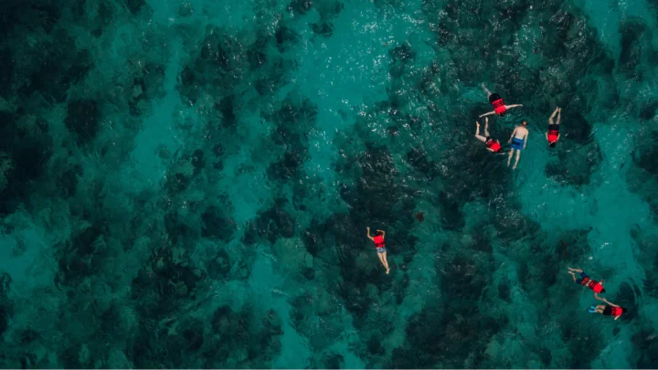 Aerial view of snorkelers floating over dark reef patches in clear turquoise ocean water