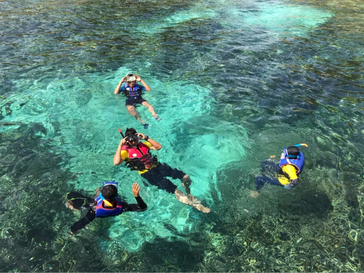 Snorkelers in life vests floating in clear shallow water over coral