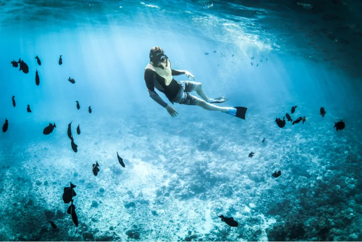A snorkeler swimming underwater over a bright coral reef with small fish around them
